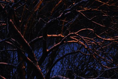 Sombre et douce_4318558370_l.jpg